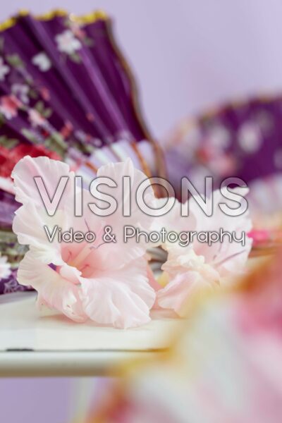 Gladiolus Jarama bloem