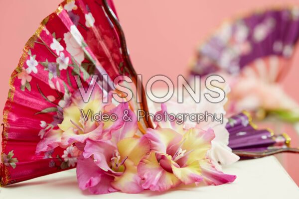 Multicoloros Gladiolus Sunbelt bloemen Multicoloros Gladiolus Sunbelt bloemen