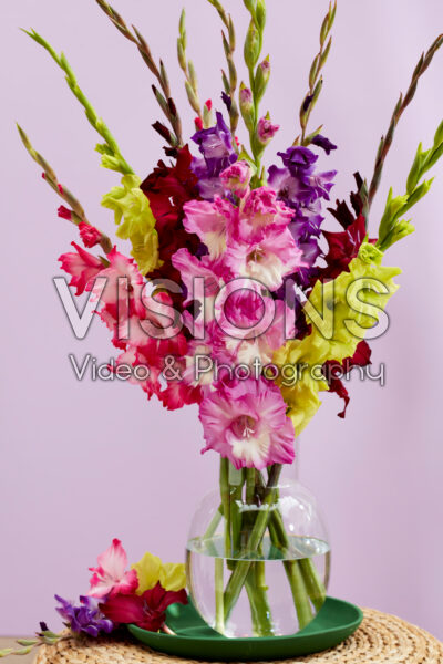 Mixed Multicoloros gladioli bouquet