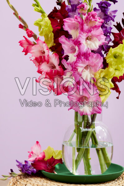 Gemengd Multicoloros gladiolenboeket Gemengd Multicoloros gladiolenboeket