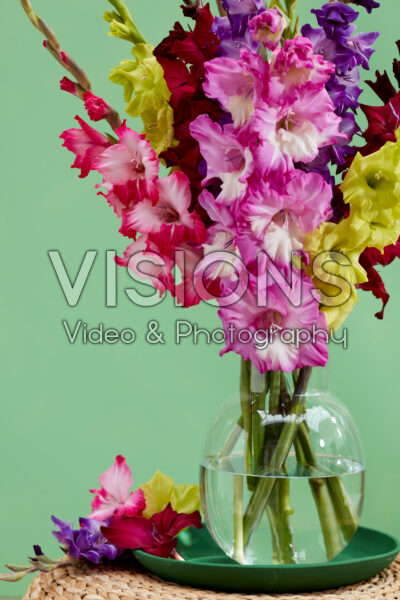 Gemengd Multicoloros gladiolenboeket Gemengd Multicoloros gladiolenboeket