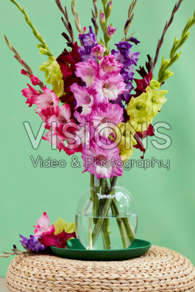 Mixed Multicoloros gladioli bouquet