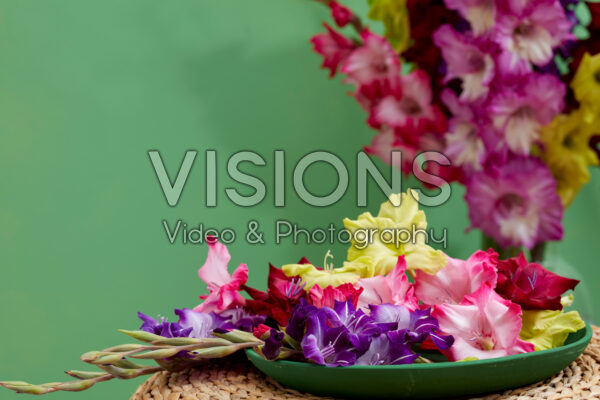 Gladiolen Multicoloros mix Gladiolen Multicoloros mix