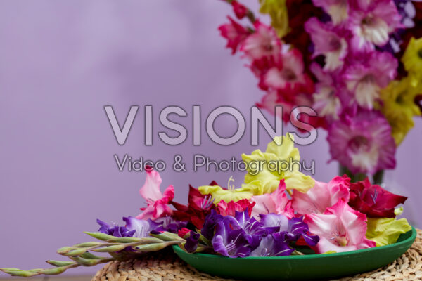 Gladiolen Multicoloros mix Gladiolen Multicoloros mix