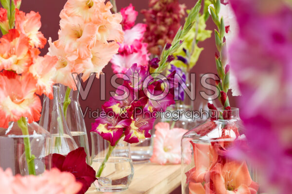 Gladiolus Multicoloros mix Gladiolus Multicoloros mix