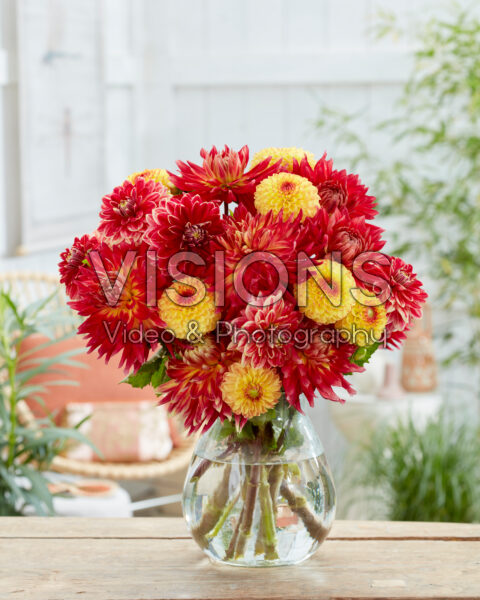 Gemengd dahlia boeket Gemengd dahlia boeket