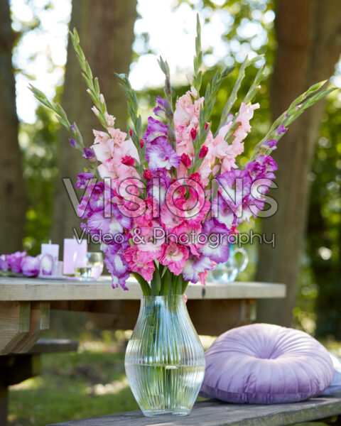 Mixed Multicoloros gladioli bouquet
