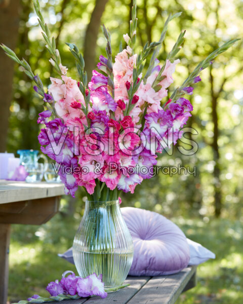 Mixed Multicoloros gladioli bouquet