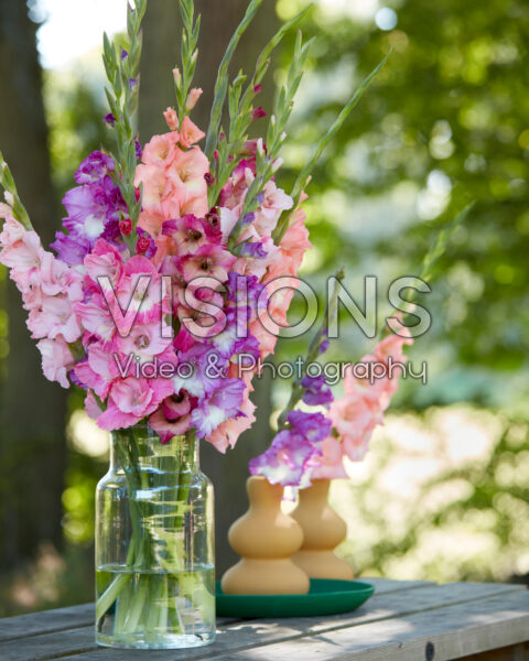 Mixed Multicoloros gladioli bouquet