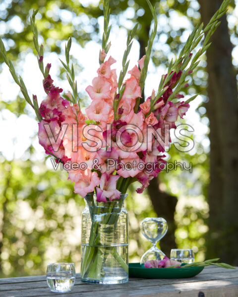 Mixed Multicoloros gladioli bouquet