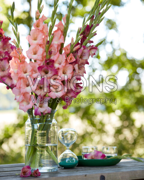 Mixed Multicoloros gladioli bouquet