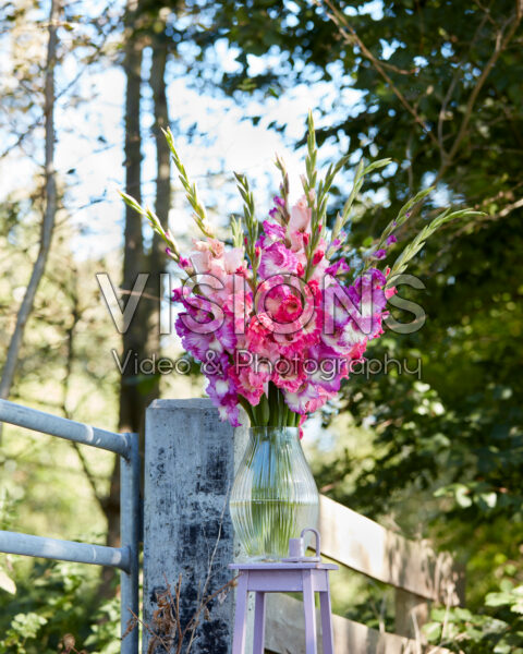 Mixed Multicoloros gladioli bouquet