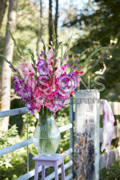 Mixed Multicoloros gladioli bouquet