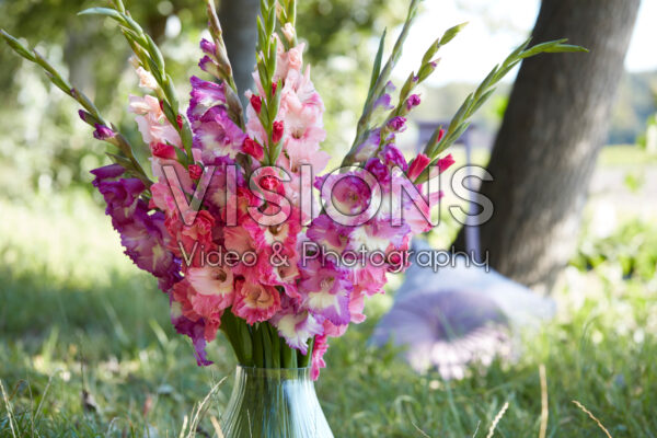 Mixed Multicoloros gladioli bouquet