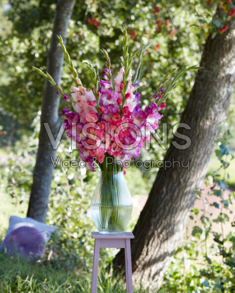 Mixed Multicoloros gladioli bouquet