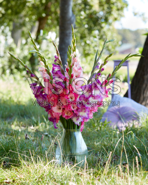 Mixed Multicoloros gladioli bouquet