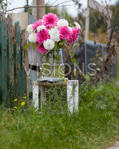 Dahlia bouquet Dahlia bouquet