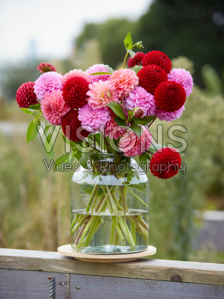 Dahlia boeket Dahlia boeket