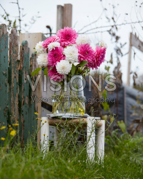 Dahlia boeket Dahlia boeket