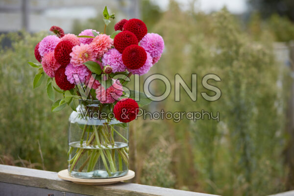 Dahlia boeket Dahlia boeket