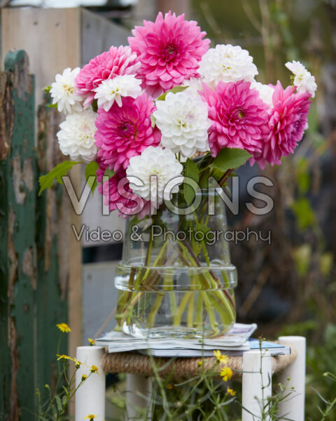 Dahlia boeket Dahlia boeket