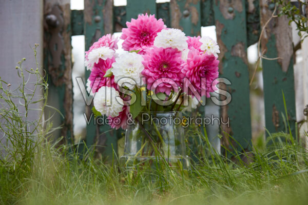 Dahlia boeket Dahlia boeket