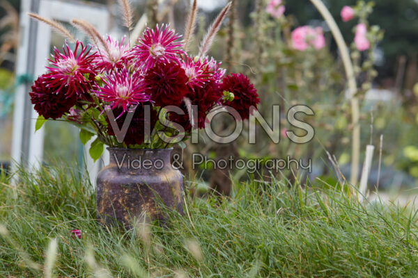 Dahlia boeket Dahlia boeket