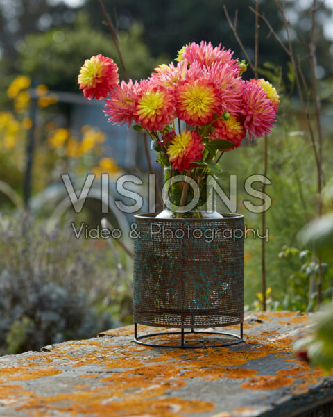 Dahlia boeket Dahlia boeket