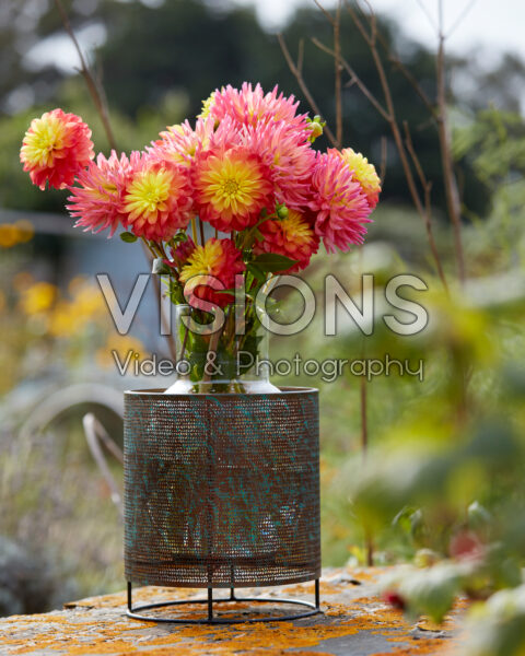 Dahlia bouquet Dahlia bouquet