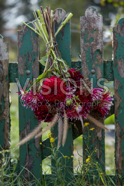 Dahlia bouquet Dahlia bouquet