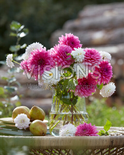 Dahlia bouquet