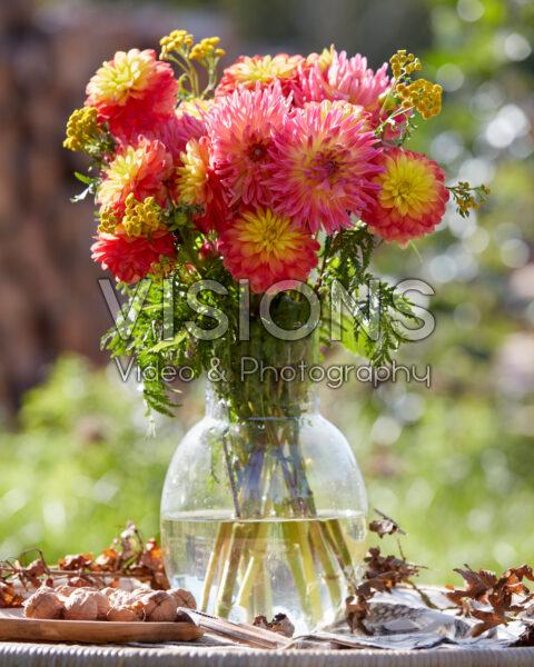 Dahlia bouquet