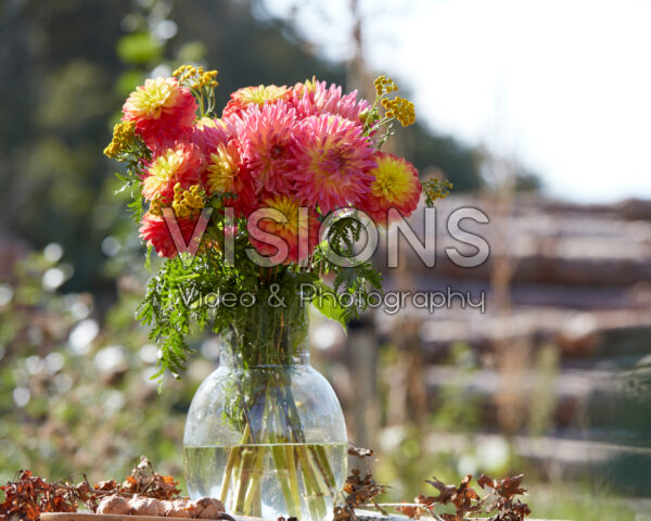 Dahlia boeket Dahlia boeket