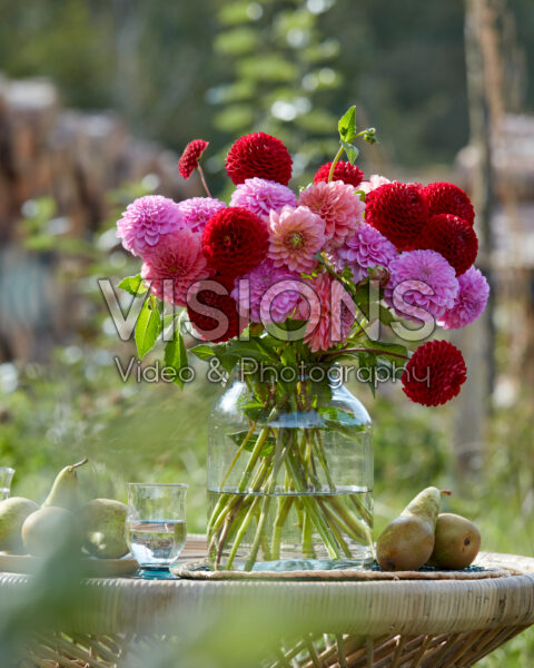 Dahlia bouquet Dahlia bouquet
