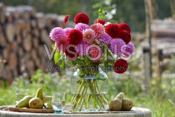 Dahlia bouquet Dahlia bouquet
