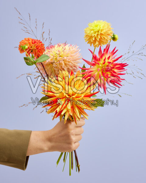 Mixed dahlia bouquet Mixed dahlia bouquet
