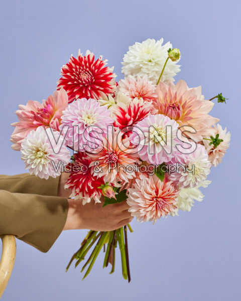 Gemengd dahlia boeket Gemengd dahlia boeket