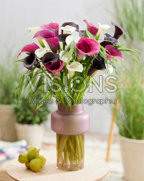 Mixed Zantedeschia bouquet