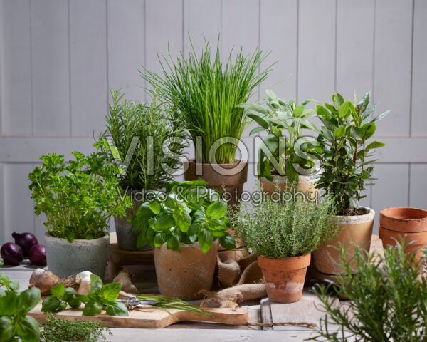 Popular herb collection