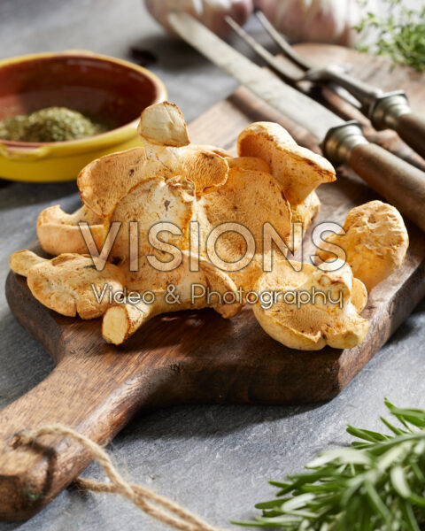 Pied de Mouton mushrooms