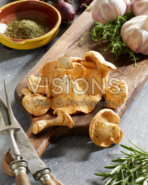 Pied de Mouton mushrooms