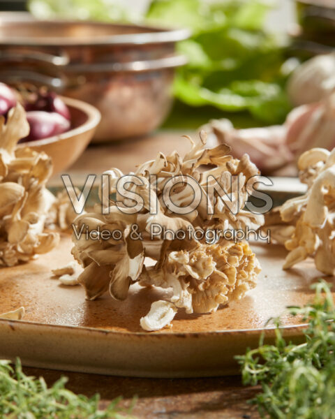 Maitake paddestoelen