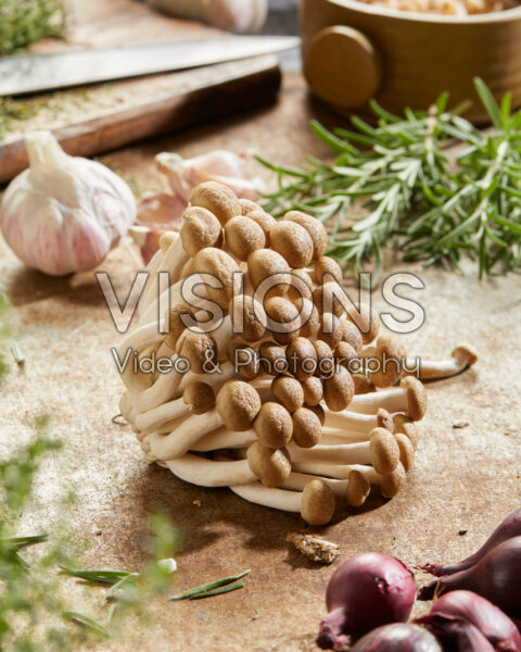 Buna-shimeji champignons