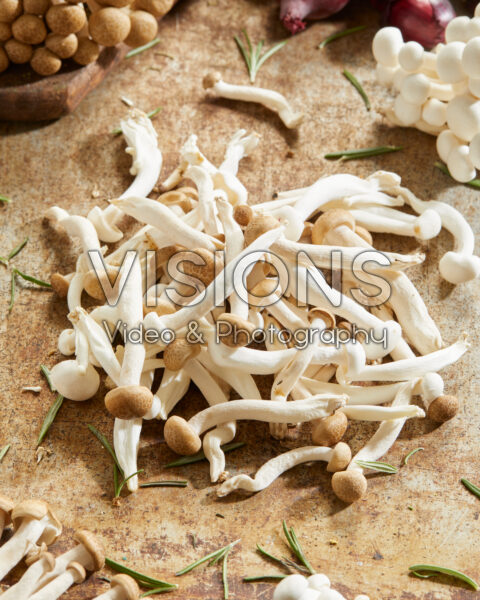 Bunapi-shimeji and Buna-shimeji mushrooms