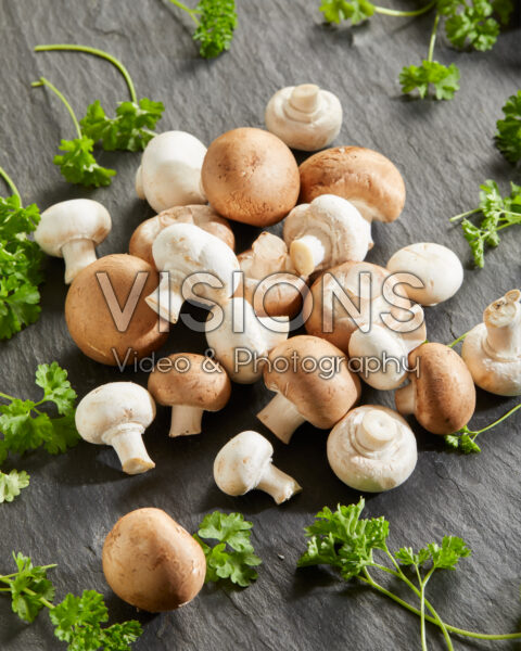 Chestnut and White button mushrooms