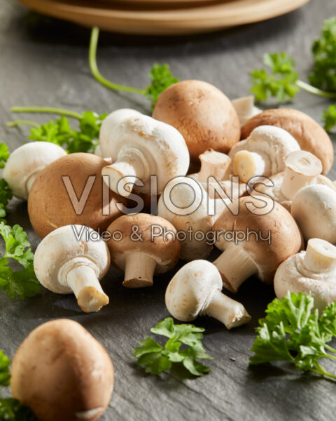 Chestnut and White button mushrooms