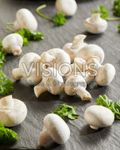 Witte champignons