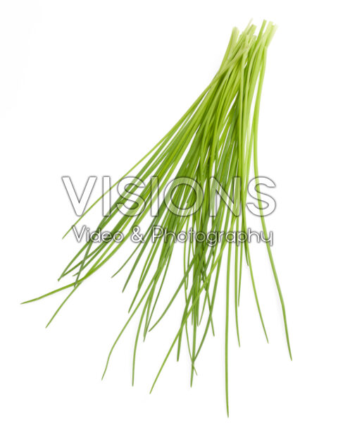 Bieslook, Allium schoenoprasum