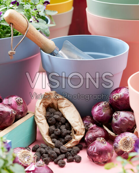 Planting spring flowering bulbs Planting spring flowering bulbs