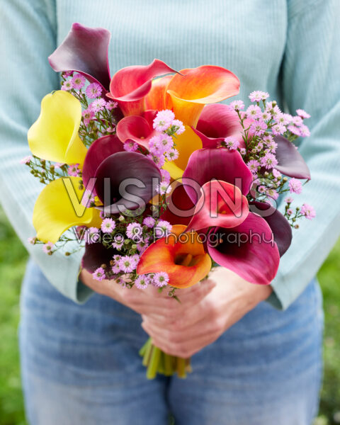 Lady holding mixed calla bouquet